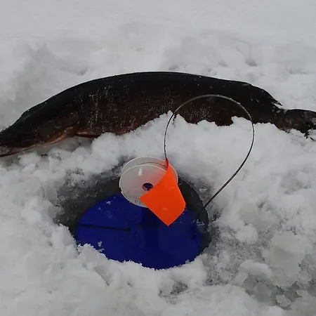 Motel Lomasaaret Villala