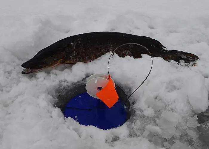 Motel Lomasaaret Villala